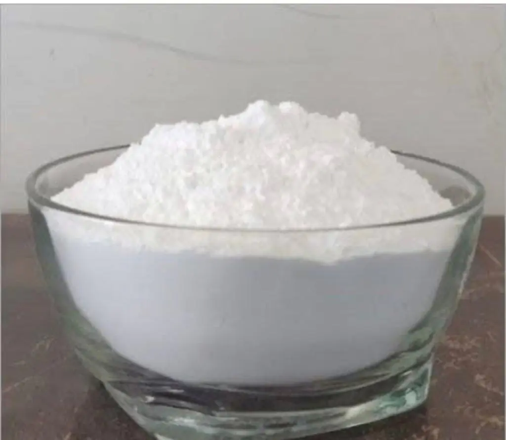 WhatsApp Image 2023 10 11 at 19.20.19